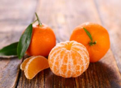 خرید جدیدترین انواع نارنگی یافا شمال