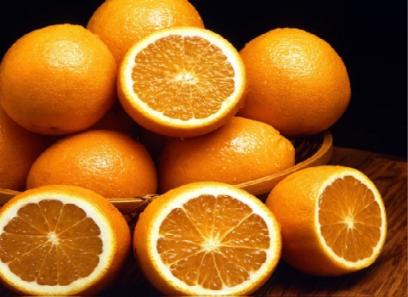خرید انواع پرتقال شمال ایران + قیمت
