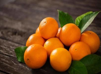 قیمت پرتقال تامسون ناول + پخش تولیدی عمده کارخانه