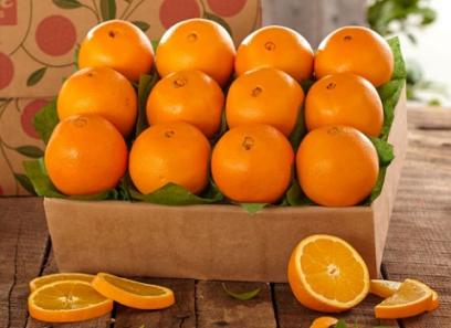 قیمت خرید پرتقال تامسون شمال + خواص، معایب و مزایا
