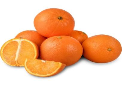 قیمت خرید پرتقال تامسون نوبل + مشخصات، عمده ارزان