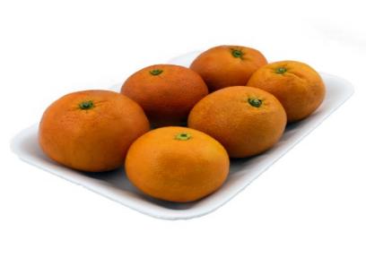 پرتقال تامسون عمده + قیمت خرید، کاربرد، مصارف و خواص