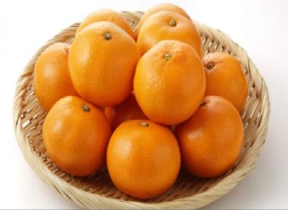 قیمت نارنگی ژاپنی ساری + پخش تولیدی عمده کارخانه